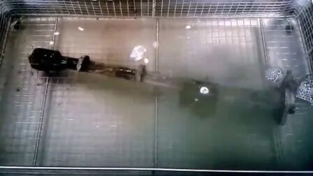 دستگاه گرمایشی دیجیتال تایمر قطعات خودروهای صنعتی ضد زنگ پاک کننده فوق صوتی Jp-480st