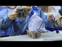 750 میلی لیتر تجهیزات تمیز کننده التراسونیک سی دی جواهرات قابل حمل میوه مینی 35 وات JP-900S